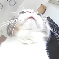 daydayEATnFAT