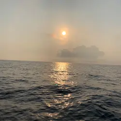 Fishing Bon