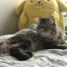 午夜美食家