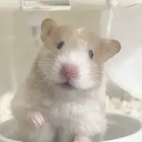 Hamnut