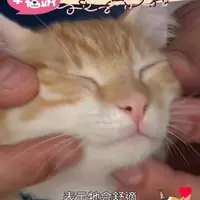 aparielwong123