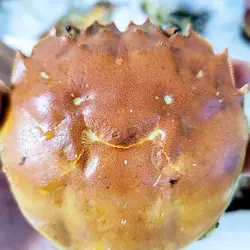 窮食教主