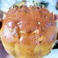窮食教主