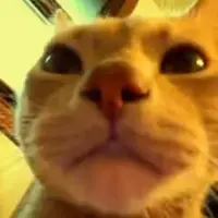 JimJimMeowMeowMeow