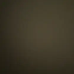 stephylui