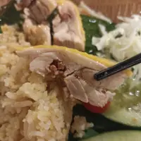 dietfoodie