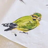 Inabirb