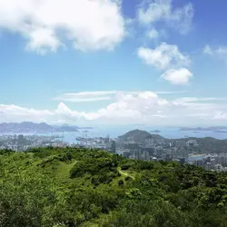 南瓜酱紫