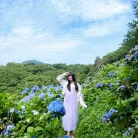melodyng24