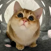 pupupurin.sum