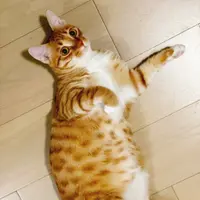 rosy.foodie