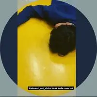 vintretamlingchit