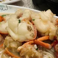 翼龍