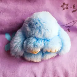 imbunnyfoodie