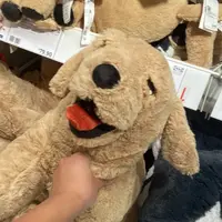 ky3_2