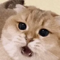 徐志摩表妹