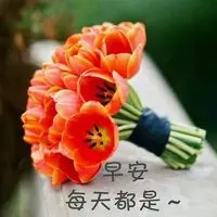 ccfcck