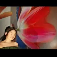 yiu.wingshan