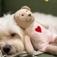 Judyloveeateat