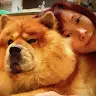 saibearbb