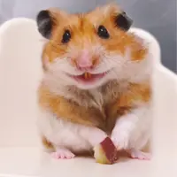 Weeeat