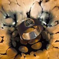 ap244208227
