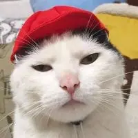 愛生氣的害羞鬼