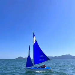 小冰66