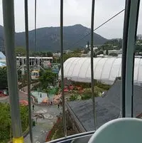 芝士漢堡的日常