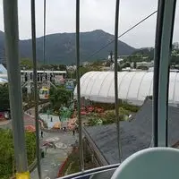 芝士汉堡的日常