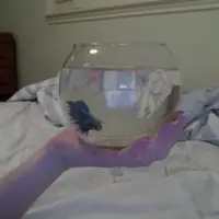 mini_angel34