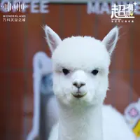 Dorarara Fung