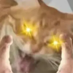 何何何咦