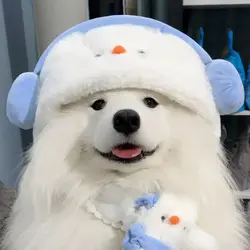 Cute Chowhound