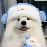 Cute Chowhound