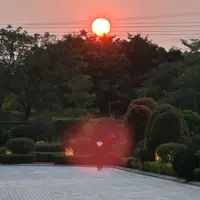 Carmen Hui13