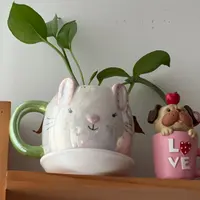大舊妹妹