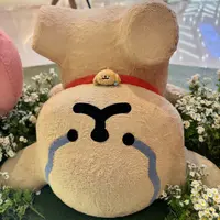 kumaho_1025