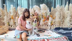 ewa.tobey.coco