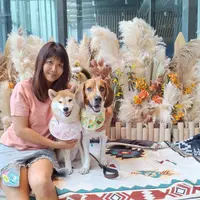 ewa.tobey.coco