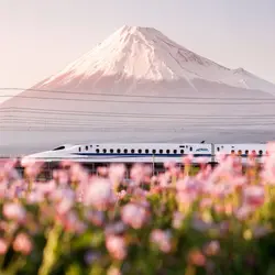 fujisan_journal