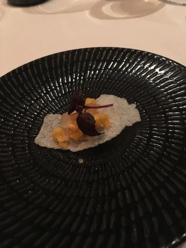 Appetizer    Over  chips