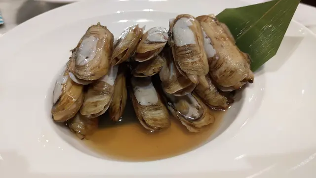 冰爽酒糟聖子