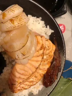 火炙鱼生饭