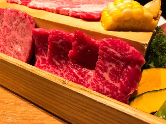 日本產和牛排肉