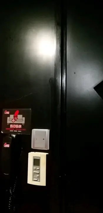 蟑螂太多!