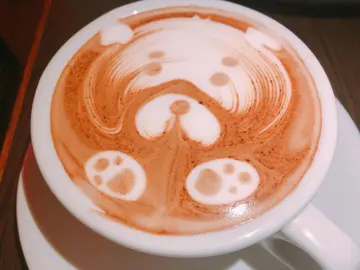 热朱古力