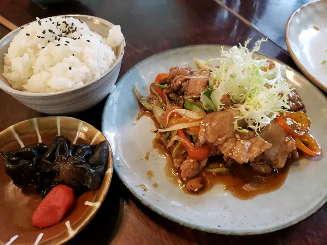 日式豚肉燒