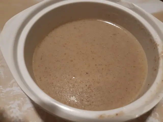 雜菌忌廉湯