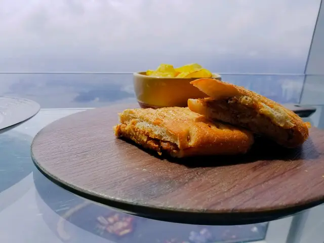飛天小豬
